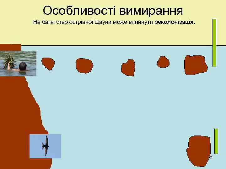 Особливості вимирання На багатство острівної фауни може вплинути реколонізація. 12 