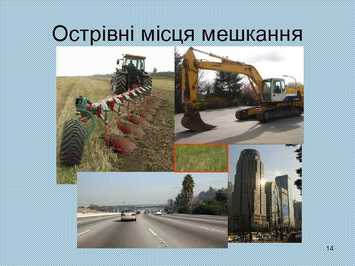 Острівні місця мешкання 14 