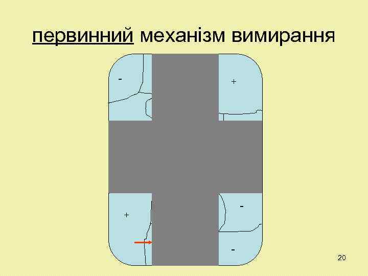 первинний механізм вимирання - - + + + - - 20 