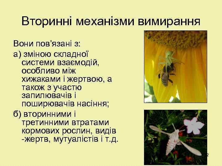 Вторинні механізми вимирання Вони пов’язані з: а) зміною складної системи взаємодій, особливо між хижаками