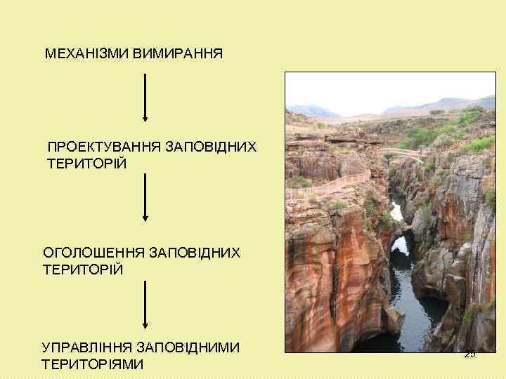 МЕХАНІЗМИ ВИМИРАННЯ ПРОЕКТУВАННЯ ЗАПОВІДНИХ ТЕРИТОРІЙ ОГОЛОШЕННЯ ЗАПОВІДНИХ ТЕРИТОРІЙ УПРАВЛІННЯ ЗАПОВІДНИМИ ТЕРИТОРІЯМИ 25 