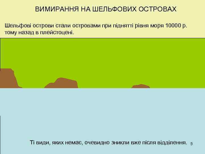 ВИМИРАННЯ НА ШЕЛЬФОВИХ ОСТРОВАХ Шельфові острови стали островами при піднятті рівня моря 10000 р.
