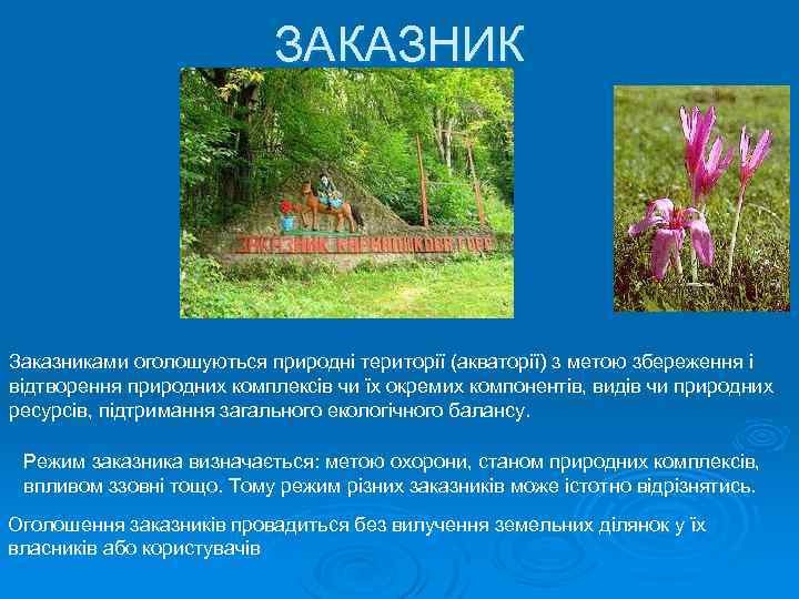 ЗАКАЗНИК Заказниками оголошуються природні території (акваторії) з метою збереження і відтворення природних комплексів чи