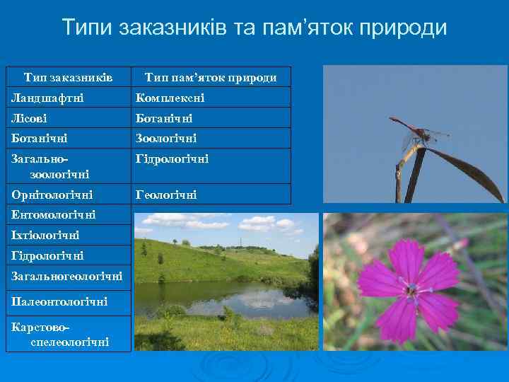 Типи заказників та пам’яток природи Тип заказників Тип пам’яток природи Ландшафтні Комплексні Лісові Ботанічні