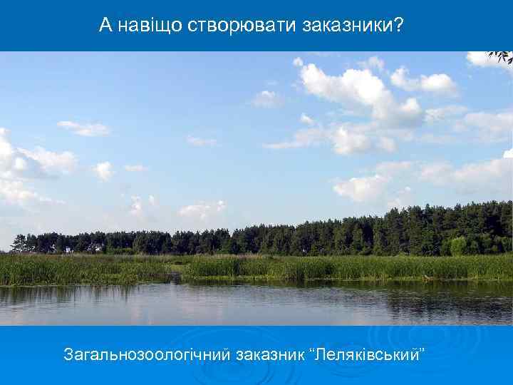 А навіщо створювати заказники? Загальнозоологічний заказник “Леляківський” 