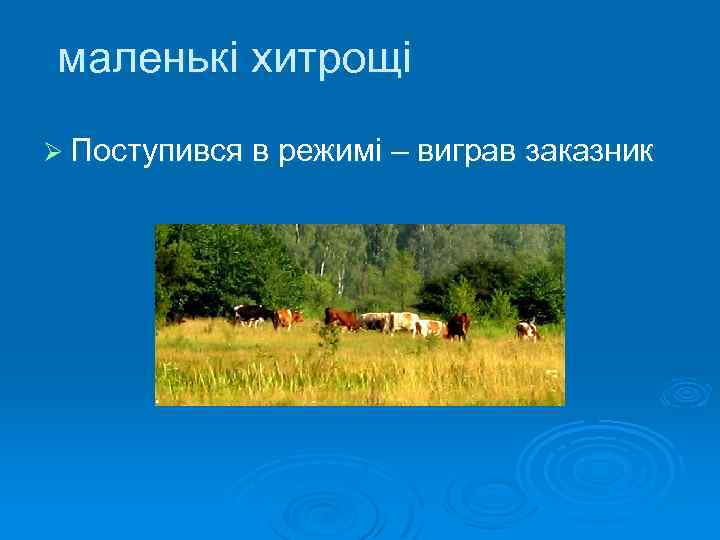 маленькі хитрощі Ø Поступився в режимі – виграв заказник 
