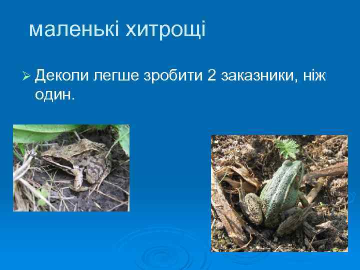 маленькі хитрощі Ø Деколи легше зробити 2 заказники, ніж один. 