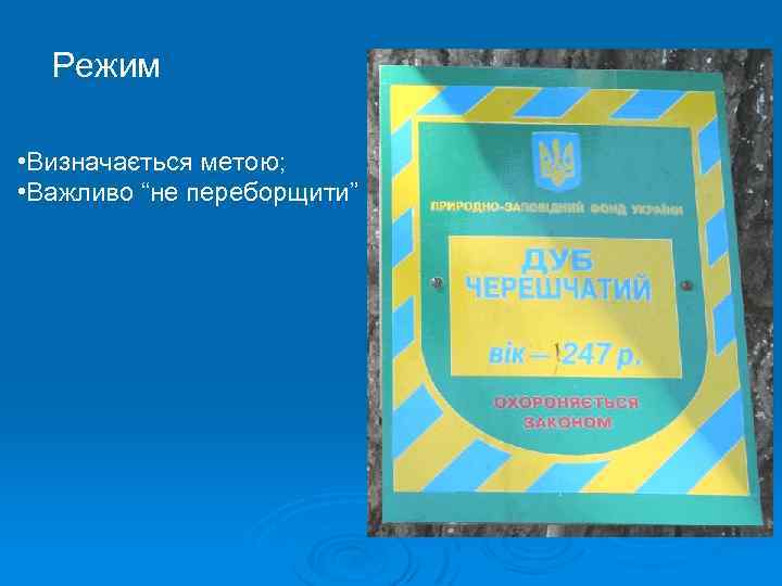Режим • Визначається метою; • Важливо “не переборщити” 