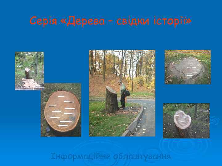 Серія «Дерева – свідки історії» Інформаційне облаштування 