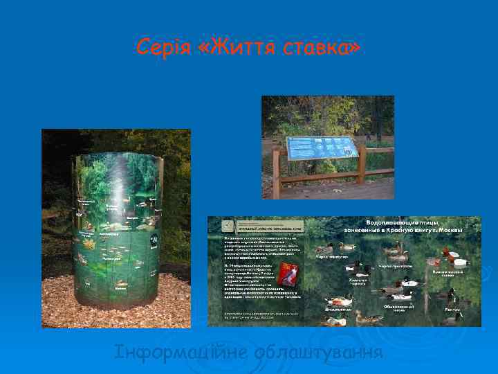 Серія «Життя ставка» Інформаційне облаштування 