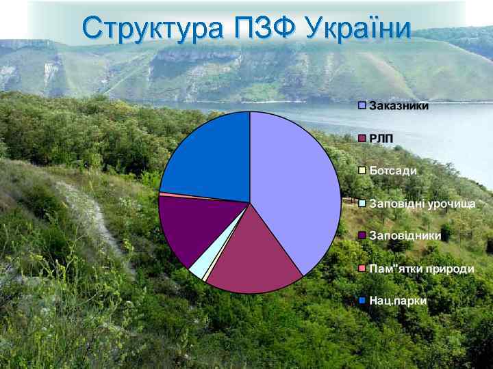 Структура ПЗФ України 