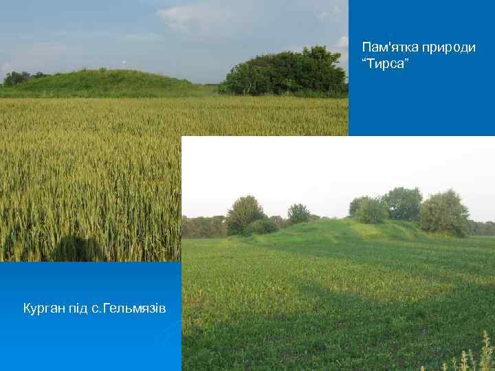 Пам'ятка природи “Тирса” Курган під с. Гельмязів 
