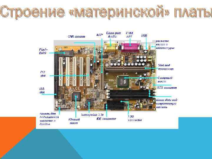 Строение «материнской» платы 