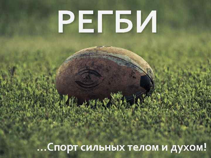 РЕГБИ …Спорт сильных телом и духом! 