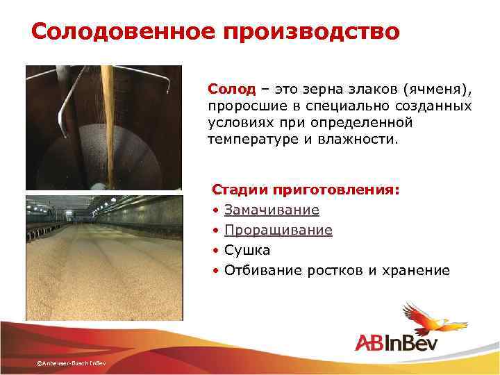 Солодовенное производство Солод – это зерна злаков (ячменя), проросшие в специально созданных условиях при