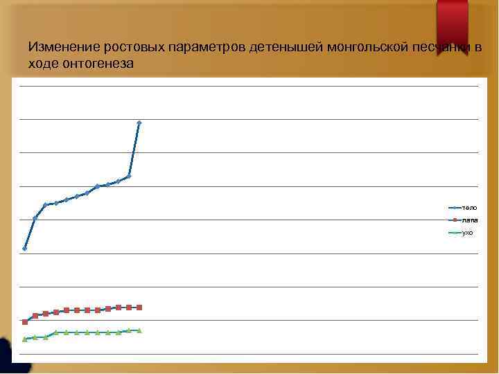 Изменение ростовых параметров детенышей монгольской песчанки в ходе онтогенеза тело лапа ухо 