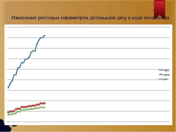 Изменение ростовых параметров детенышей дегу в ходе онтогенеза тело лапа ухо 