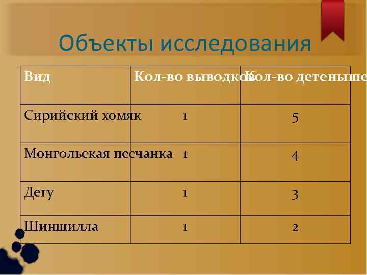 Объекты исследования Вид Кол-во выводков Кол-во детеныше Сирийский хомяк 1 5 Монгольская песчанка 1