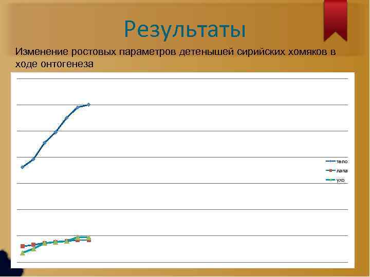 Результаты Изменение ростовых параметров детенышей сирийских хомяков в ходе онтогенеза тело лапа ухо 