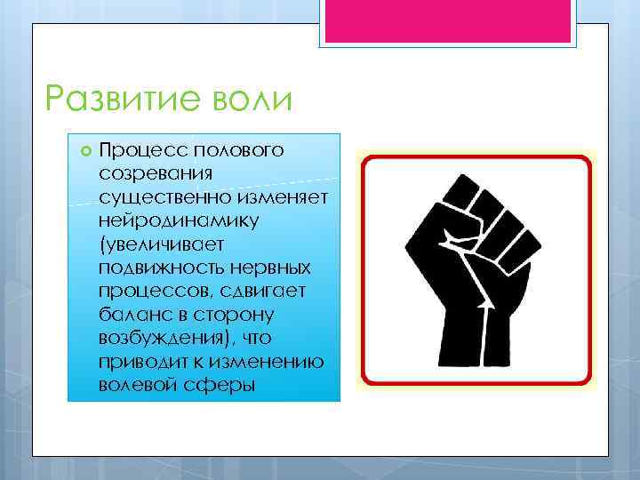 Развитие воли Процесс полового созревания существенно изменяет нейродинамику (увеличивает подвижность нервных процессов, сдвигает баланс