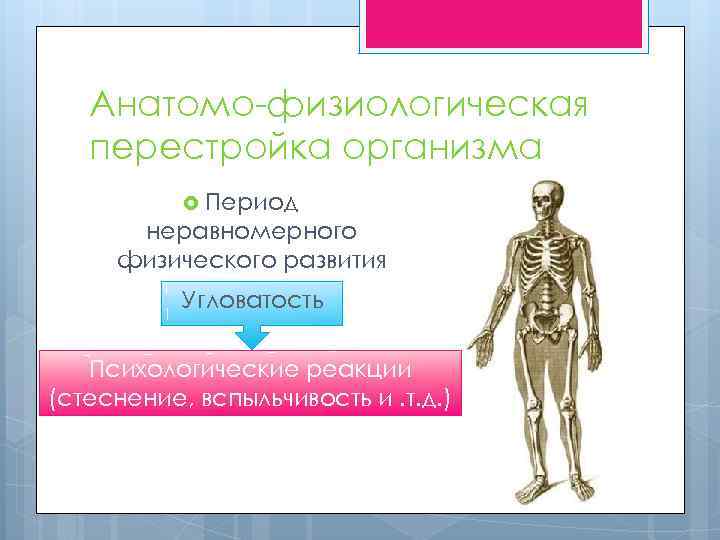 Анатомо-физиологическая перестройка организма Период неравномерного физического развития Угловатость Психологические реакции (стеснение, вспыльчивость и. т.