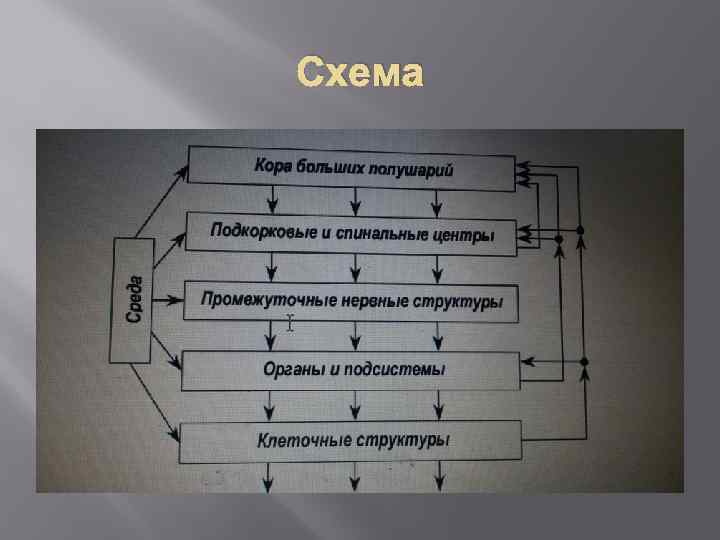 Схема 
