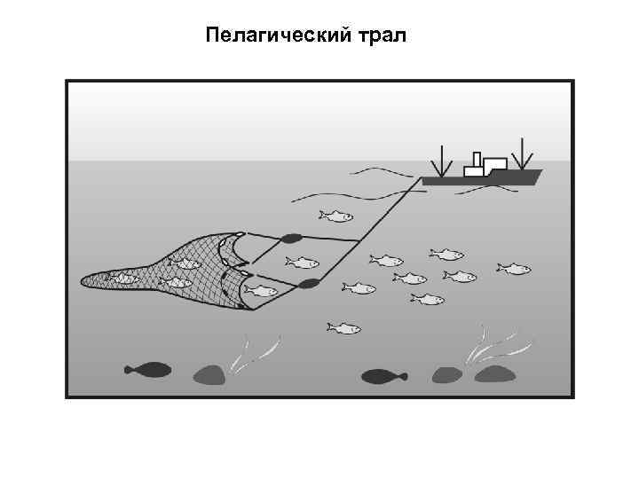 Схема рыболовного трала