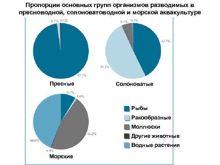 Пропорции основных групп организмов разводимых в пресноводной, солоноватоводной и морской аквакультуре Пресные Солоноватые Рыбы