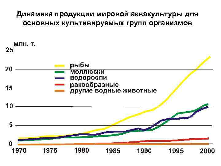 Динамика продукции мировой аквакультуры для основных культивируемых групп организмов 