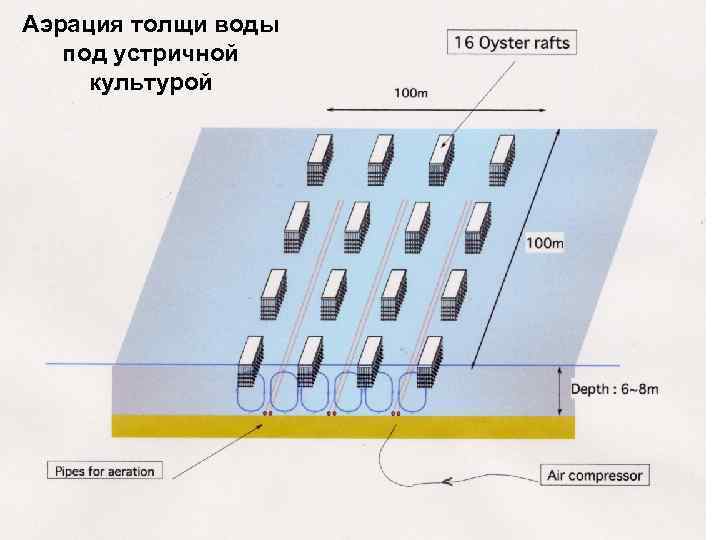 Аэрация толщи воды под устричной культурой 