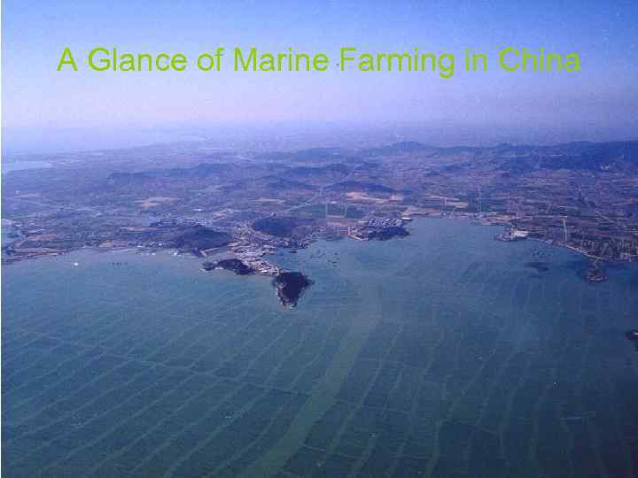 A Glance of Marine Farming in China 