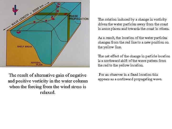 The rotation induced by a change in vorticity drives the water particles away from