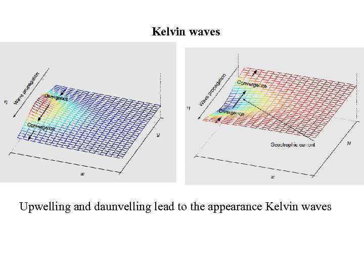 Kelvin waves Upwelling and daunvelling lead to the appearance Kelvin waves 