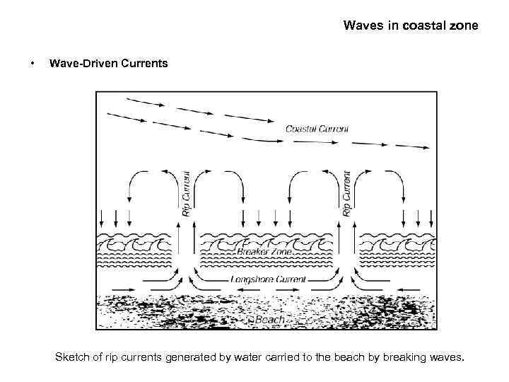 Waves in coastal zone • Wave-Driven Currents Sketch of rip currents generated by water