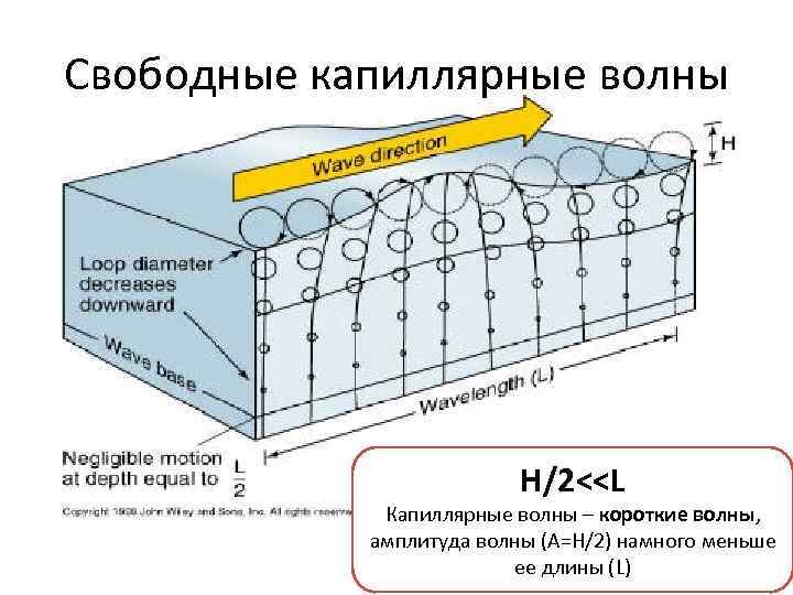 Свободные капиллярные волны Н/2<<L Капиллярные волны – короткие волны, амплитуда волны (A=H/2) намного меньше
