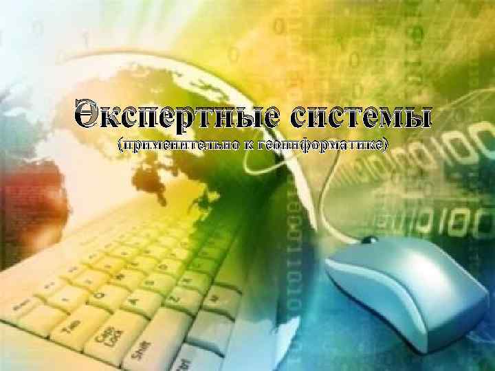 Экспертные системы (применительно к геоинформатике) 