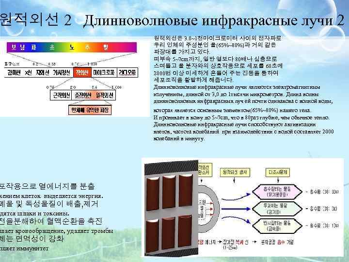 원적외선 2 Длинноволновые инфракрасные лучи 2 포작용으로 열에너지를 분출 жением клеток выделяется энергия. 폐물
