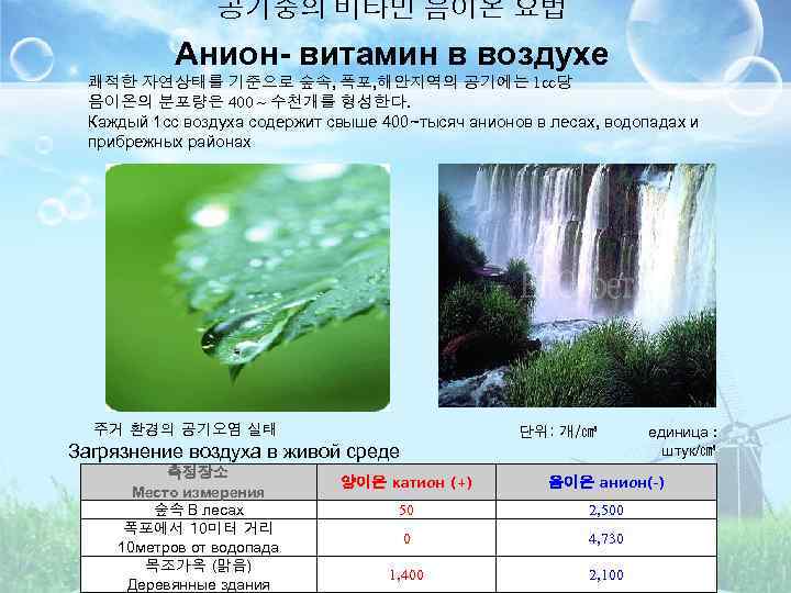 공기중의 비타민 음이온 요법 Анион- витамин в воздухе 쾌적한 자연상태를 기준으로 숲속, 폭포, 해안지역의