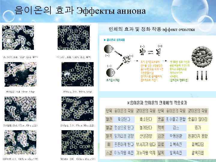 음이온의 효과 Эффекты аниона 인체의 효과 및 정화 작용 эффект очистки 