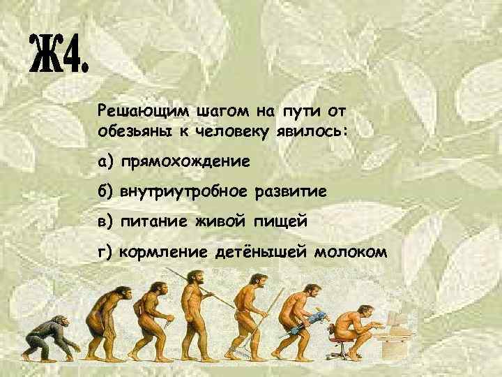 К обезьянам людям относят. Путь эволюции от обезьяны к человеку. Решающим шагом на пути от обезьяны к человеку явилось. У предков человека прямохождение способствовало формированию. Относится ли человек к приматам.