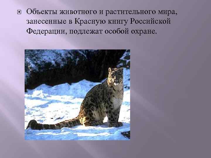  Объекты животного и растительного мира, занесенные в Красную книгу Российской Федерации, подлежат особой