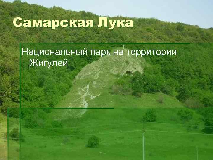 Самарская Лука Национальный парк на территории Жигулей 