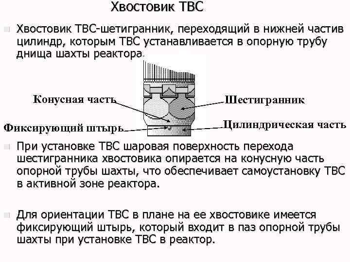 Хвостовик ТВС n Хвостовик ТВС-шетигранник, переходящий в нижней частив цилиндр, которым ТВС устанавливается в