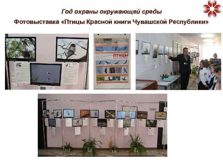 Год охраны окружающей среды Фотовыставка «Птицы Красной книги Чувашской Республики» 