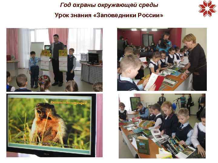 Год охраны окружающей среды Урок знания «Заповедники России» 