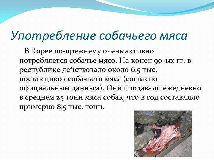 Употребление собачьего мяса В Корее по-прежнему очень активно потребляется собачье мясо. На конец 90