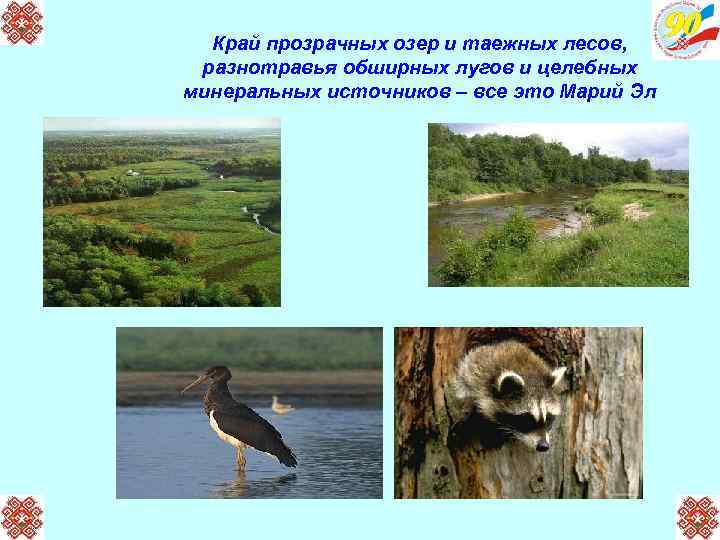 Край прозрачных озер и таежных лесов, разнотравья обширных лугов и целебных минеральных источников –