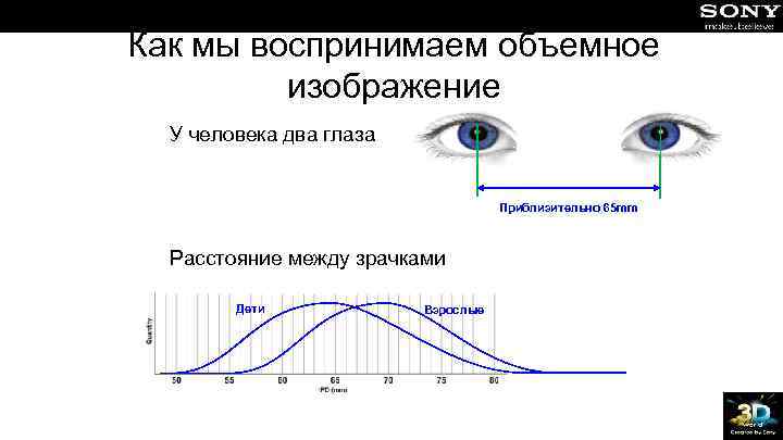Как мы воспринимаем объемное изображение У человека два глаза Приблизительно 65 mm Расстояние между