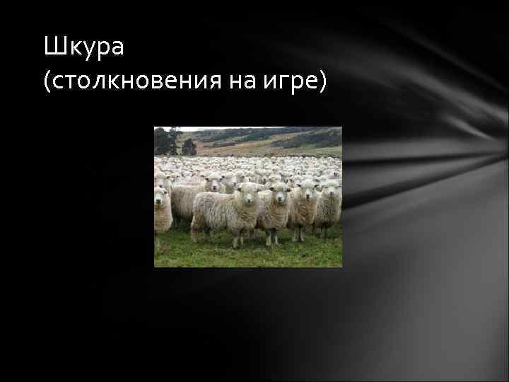 Шкура (столкновения на игре) 