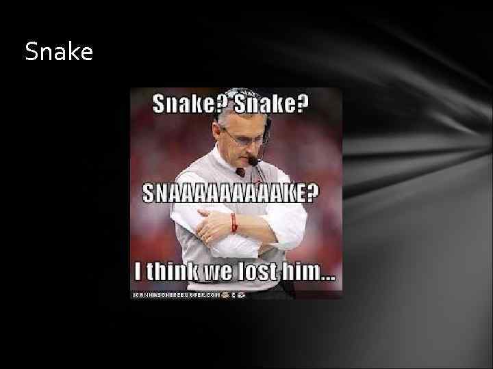 Snake 